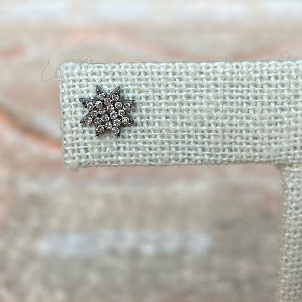 Theodosia Burst Earring